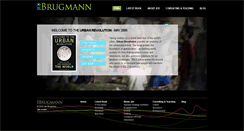 Desktop Screenshot of jebbrugmann.com